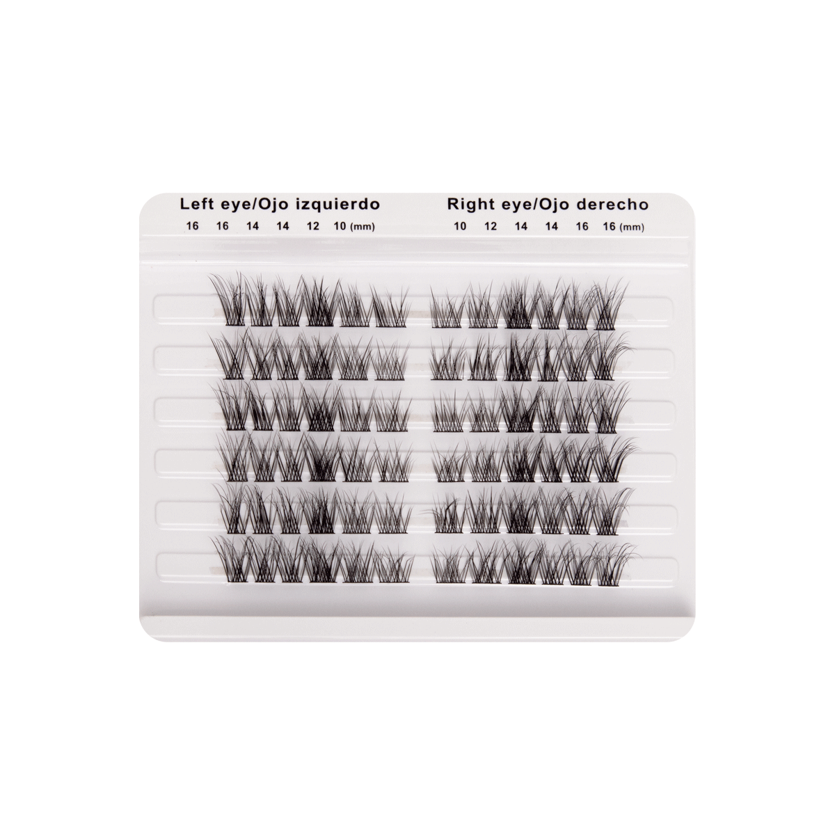 Cluster Collection | True Lashes